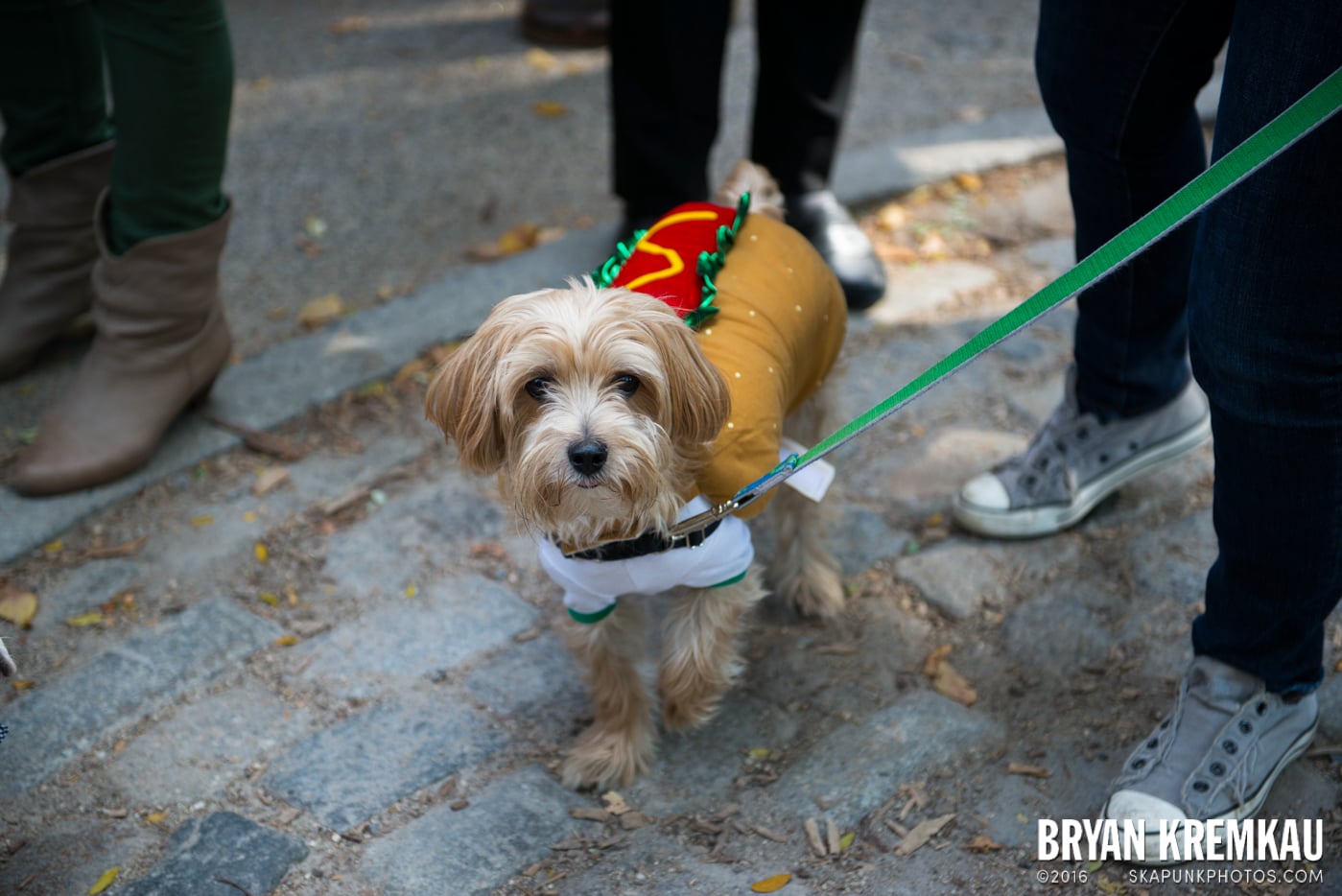 Tompkins Square Halloween Dog Parade 2013 @ Tompkins Square Park, NYC - 10.26.13 (38)