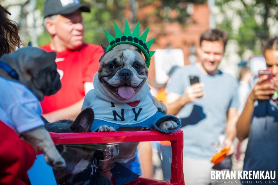 Tompkins Square Park Halloween Dog Parade 2017 @ Tompkins Square Park, NYC - 10.21.17 (34)